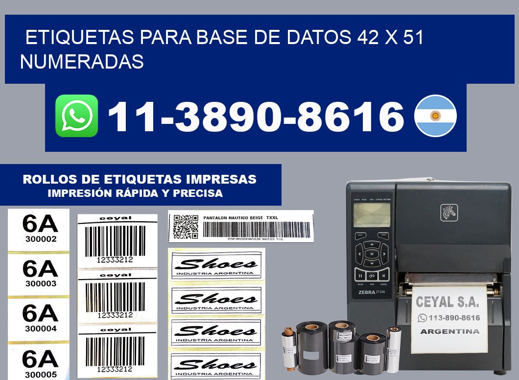 etiquetas para base de datos 42 x 51 numeradas