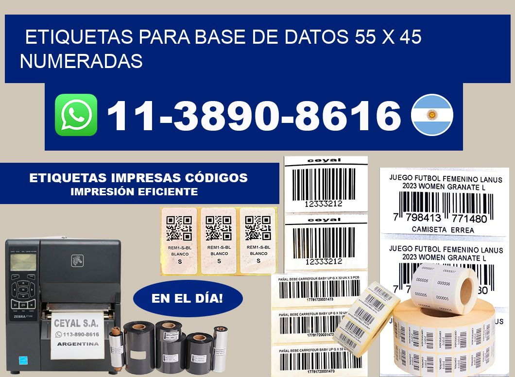 etiquetas para base de datos 55 x 45 numeradas
