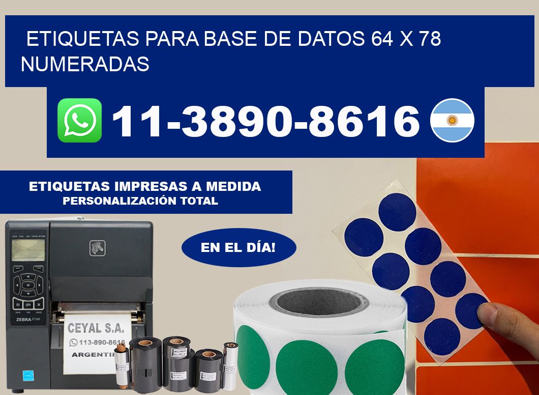 etiquetas para base de datos 64 x 78 numeradas