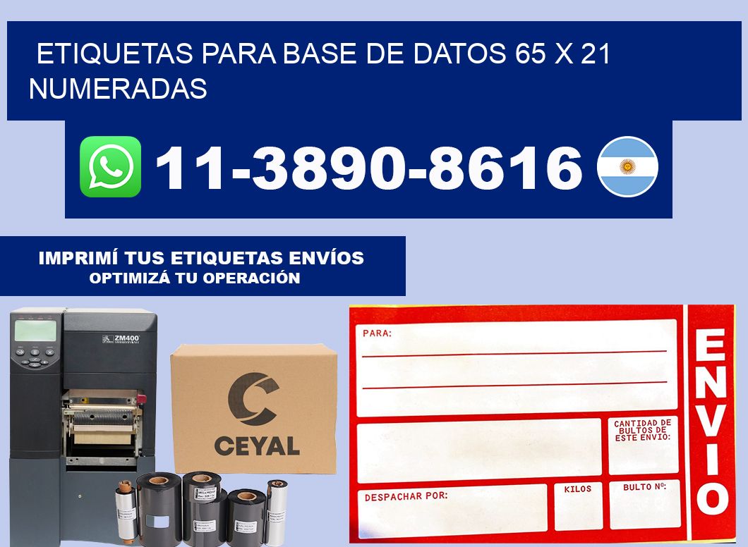 etiquetas para base de datos 65 x 21 numeradas