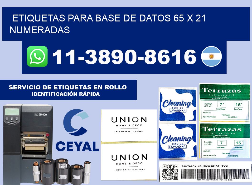 etiquetas para base de datos 65 x 21 numeradas
