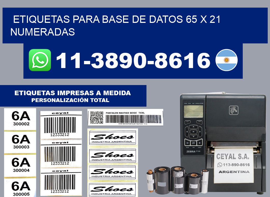 etiquetas para base de datos 65 x 21 numeradas
