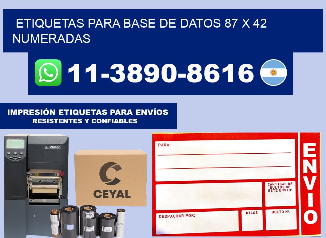 etiquetas para base de datos 87 x 42 numeradas