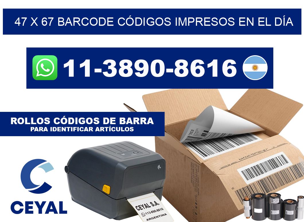47 x 67 BARCODE CÓDIGOS IMPRESOS EN EL DÍA