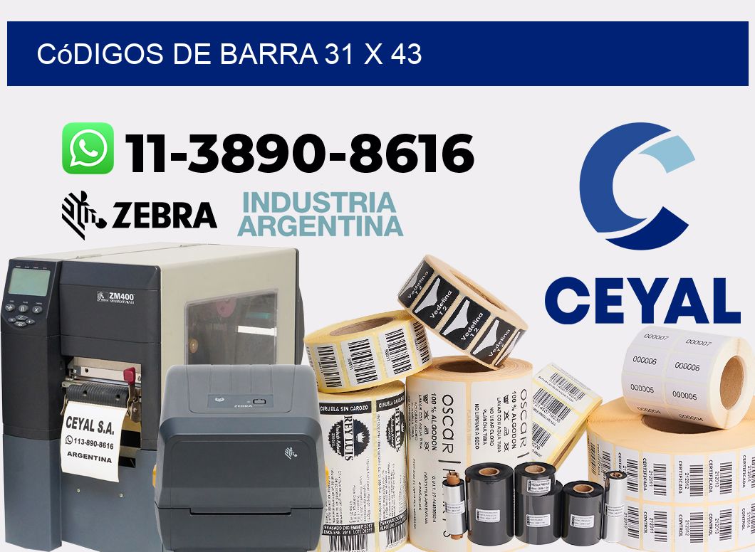 códigos de barra 31 x 43