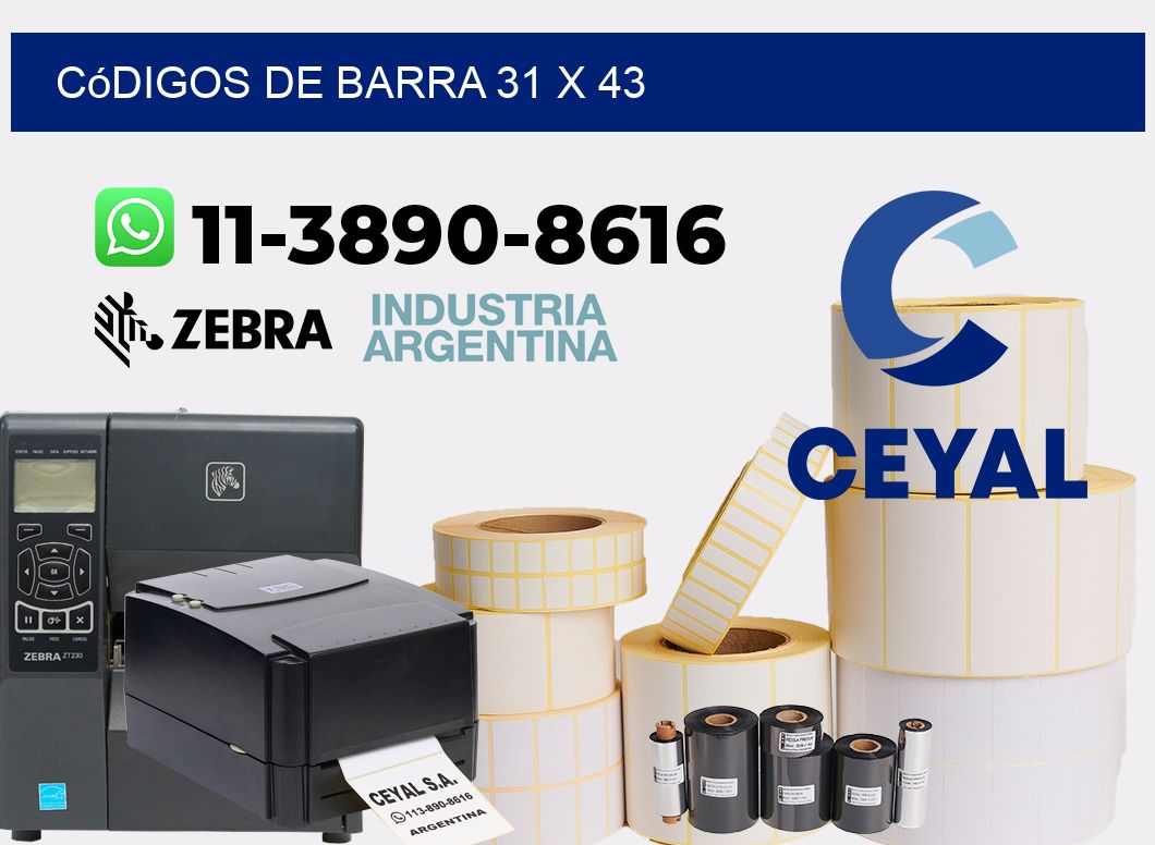 códigos de barra 31 x 43