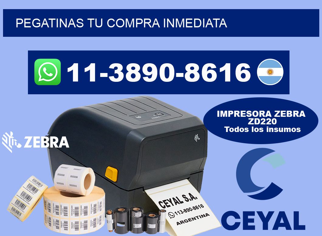 PEGATINAS Tu compra inmediata