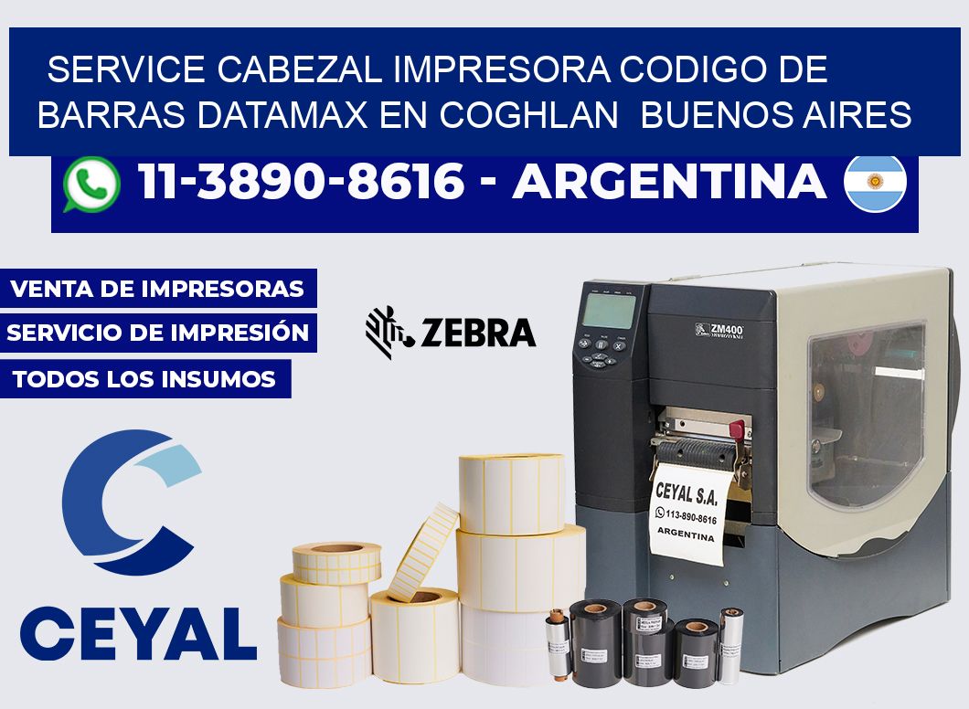 service cabezal impresora codigo de barras Datamax en Coghlan Buenos Aires
