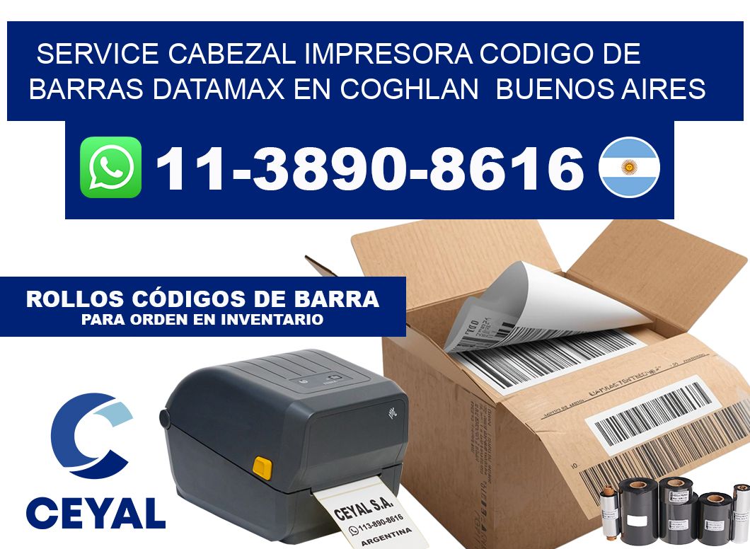 service cabezal impresora codigo de barras Datamax en Coghlan Buenos Aires