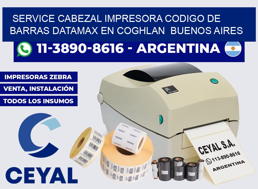 service cabezal impresora codigo de barras Datamax en Coghlan  Buenos Aires